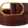 Dolce & Gabbana Elegant Red Snakeskin Leather Belt