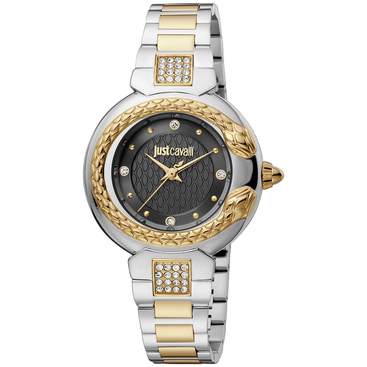 Multicolor Women Watch